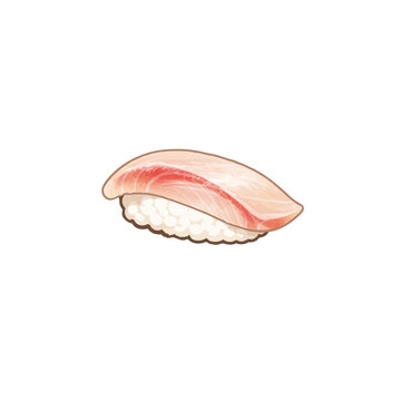 Kanpachi Greater Amberjack Nigiri Sushi Illustration Isolated on White Background Japanese Food