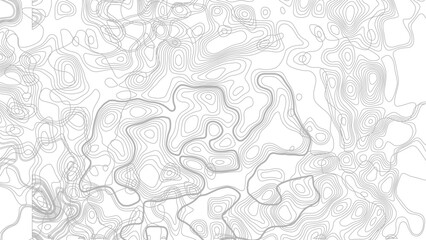 Fototapeta premium Topography background. Vector banner. Topography map background. digital print terrain lines texture vector white background. 
