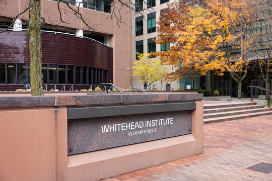 Whitehead Institute for Biomedical Research building in Kendall Square Cambridge Massachusetts