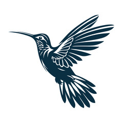 Fototapeta premium Flying hummingbird line art sketch - vector illustration for natural beauty