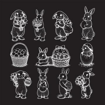 Easter bunny with flowers and Easter basket vector collection on a black background with white chalk