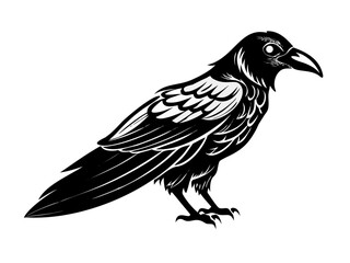 Obraz premium Black raven bird illustration tattoo style isolated on white