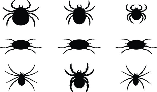 Set of Nine Different Spider Silhouettes Isolated on White Background for Halloween Horror Design Projects
