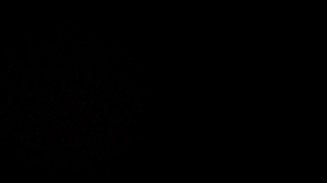 たくさんの打ち上げ花火が発射されるループアニメーション（背景透過）