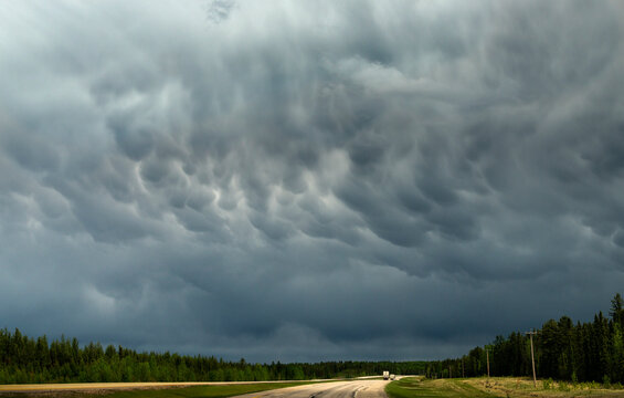 Canada, Alberta.  Intense billowing mammatus clouds in the sky above Trans Canada Highway 16 in Jasper National Park