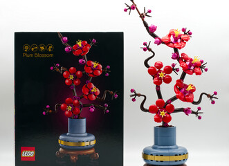 Fototapeta premium Bologna - Italy - March 3, 2026: LEGO Botanicals Plum Blossom isolated on white background.