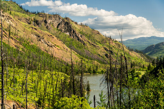 Canada, British Columbia, Barriere.  The North Thompson River in the Cariboo Region of BC.