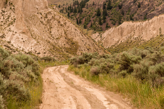 Canada, BC, Kamloops.  Four wheel drive road heading into the hills in the Cariboo district landscape.