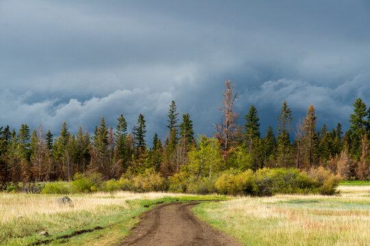Canada, BC, Clinton.  Four wheel drive road in the Cariboo district landscape.