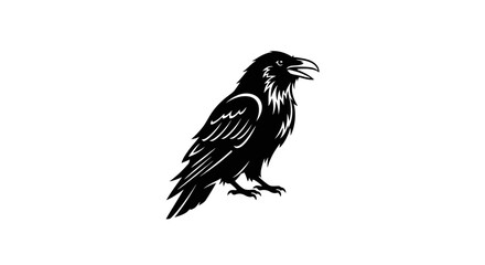 Obraz premium Black Raven Bird Illustration Standing on Clean White Background