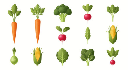 Fototapeta premium Variety of fresh green vegetables displayed.