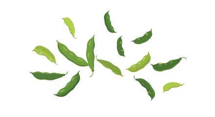 Fresh Green Edamame Soybeans Floating Isolated on White Background