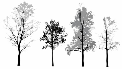 Fototapeta premium Silhouettes of various trees against a stark white background