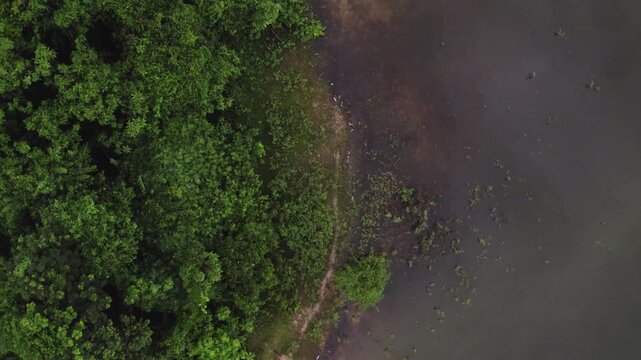 Slow forward moving perpendicular view of lake and its green foresty coastline.