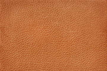 Fototapeta premium brown leather texture for background