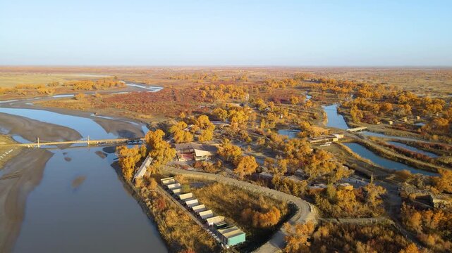 Aerial Time-lapse of Golden Populus Euphratica Forest and Tarim River at Lop Nur Village in Yuli, Xinjiang, China