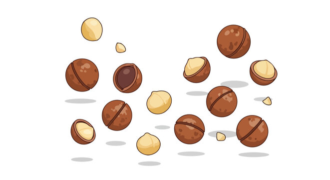 Macadamia Nuts Falling Isolated on White Background