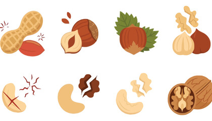 Fototapeta premium A collection of nut icons including peanuts and walnuts illustrations
