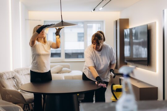 Cleaning professionals tidying modern apartment for hospitality service