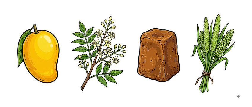 Illustration of mango, neem, jaggery and grain for Gudi Padwa festival