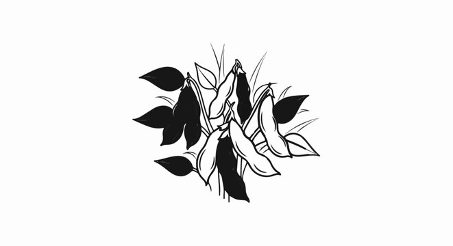 Black and white illustration of soybean pods and leaves on a white background