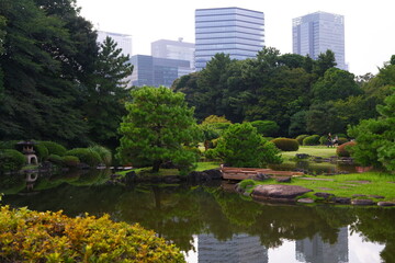 Obraz premium A classic Japanese garden landscape featuring a calm pond, a wooden bridge, and a stone lantern, set against modern high-rise buildings