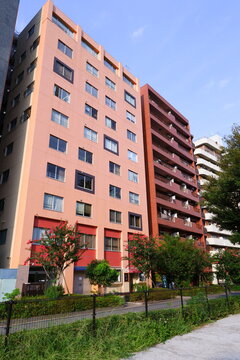 A row of modern mid-rise residential apartment buildings in various colors along a city street lined with green trees