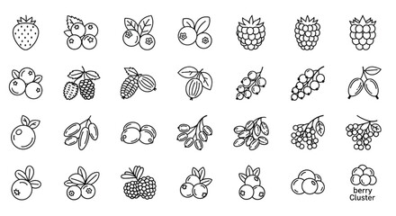 Berry Fruit Line Icons Set Strawberry Raspberry Blueberry Outline Vector © Ruwani