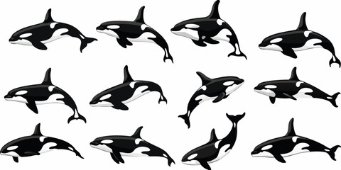 A collection of stylized orca whales in various poses and orientations © Ratan