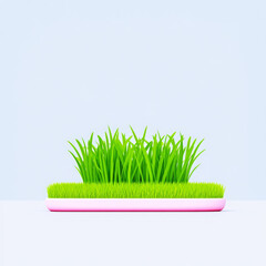 Naklejka premium Fresh green grass on white tray, minimal style, isolated on light blue background, cheerful mood