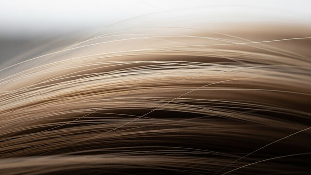 Close up view of flowing human hair with soft light brown and blonde tones in a dynamic wavy pattern