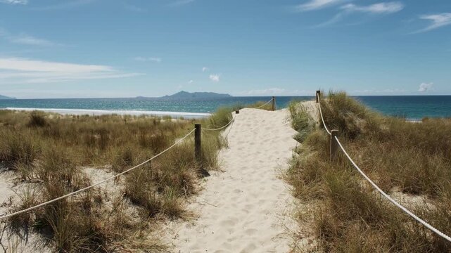 Sandy path through dunes leading to Mangawhai Beach with island view, New Zealand