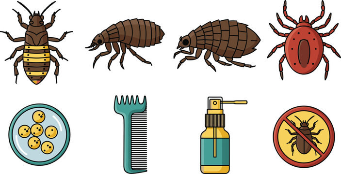 Parasites and Pest Control Vector Set with Bedbug Louse Mite Dust Mite Eggs Comb Spray Bottle and No Bug Sign Illustration