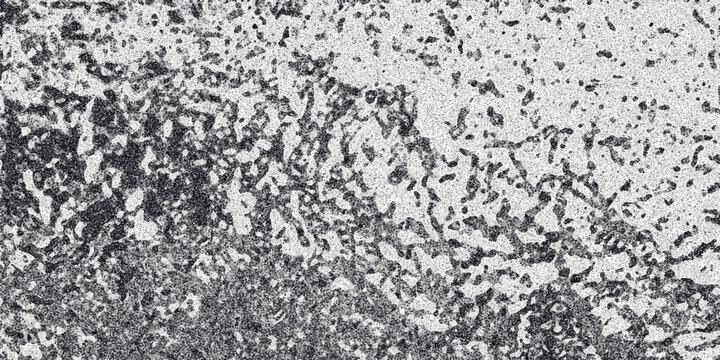 Organic Abstract Texture with Irregular Dark Speckled Shapes on a Grayscale Background Mimicking Biological or Geological Patterns