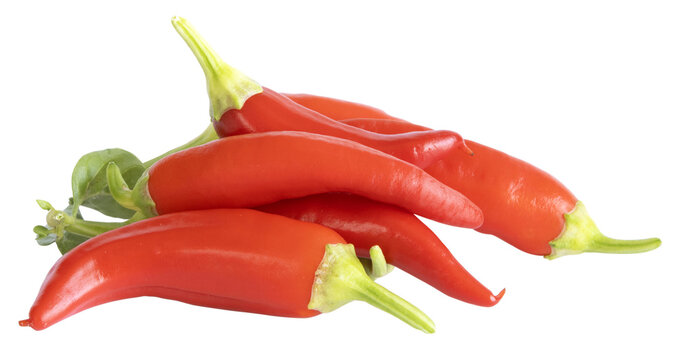 Piments rouges
