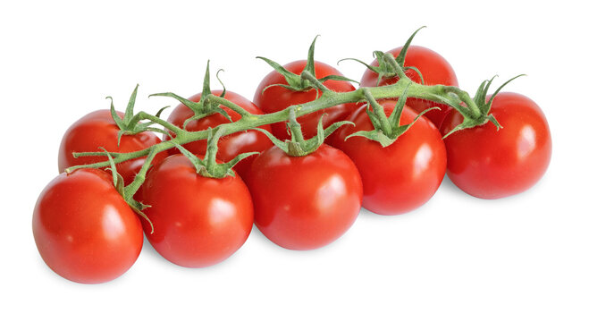 Tomate grappe	