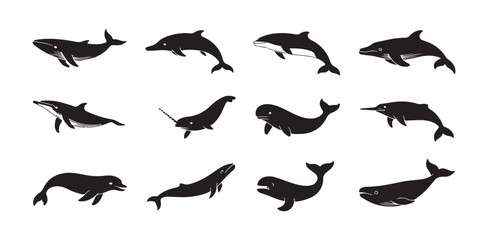 Set of various whales and dolphins isolated on white background, black whale and dolphin icons © FARJANAAKTER