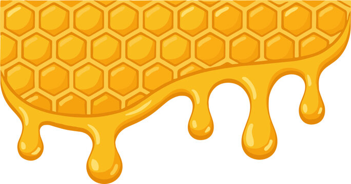 Honey Dripping Border