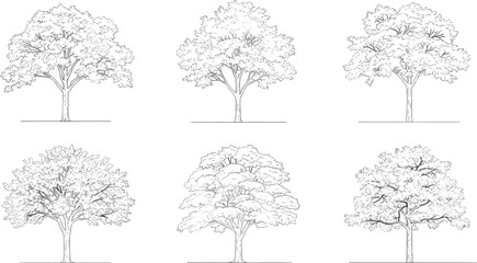 Six black and white line of different trees with varying branch and leaf patterns line black and white © Montaha,, Creatives