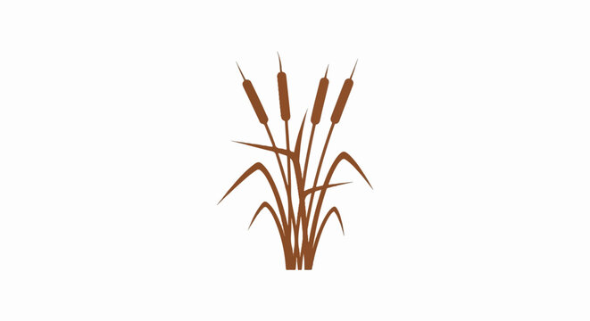 Stylized brown cattails stand tall against a white background