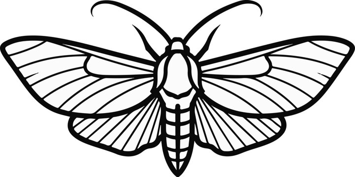 Stylized outline drawing of a moth with prominent antennae and wing veins