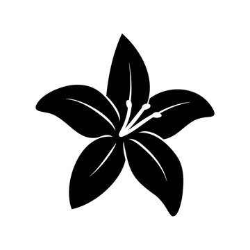 Stylized black silhouette of a lily blossom with white stigma and anther