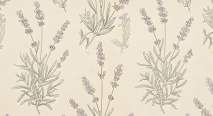 Fototapeta premium Delicate botanical illustrations of various flowering plants and branches on light background