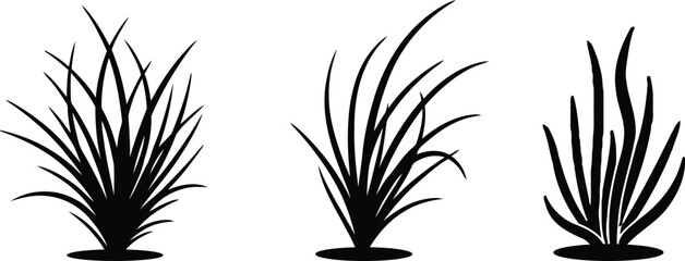 Three distinct silhouettes of stylized grass or plant clusters against a plain background © Jihad Creative Art