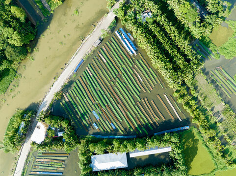 Aerial view of rows of vibrant boats clustered together in a watery expanse, reflecting the sky and framed by lush greenery, Barisal, Barisal Division, Bangladesh.