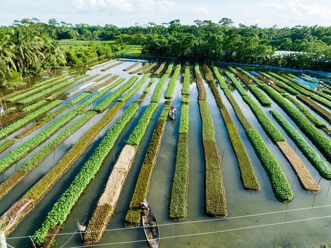 Aerial view of flooded agricultural fields, where narrow plots of land create a striped pattern, punctuated by small boats navigating the waterways, Barisal, Barisal Division, Bangladesh.