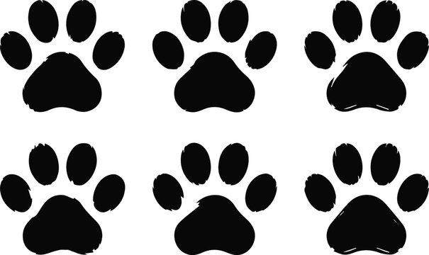 Paw print sequence for children's animal activity
