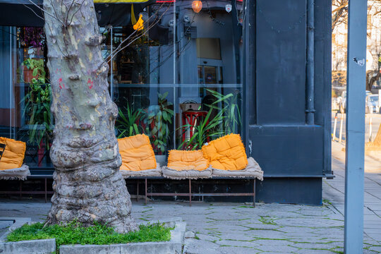 An outdoor city cafe seating area featuring a rustic bench with bright orange cushions against a dark glass storefront, framed by a large textured tree trunk in the foreground.