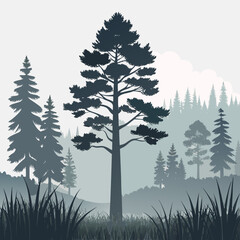 Obraz premium Scots Pine Silhouette with Misty Forest and Meadow Vector Illustration