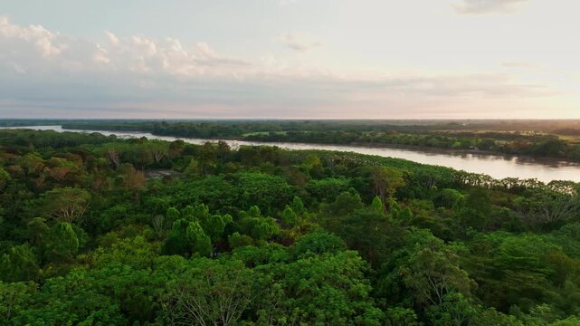 Aerial shot of San Jos&eacute; del Guaviare features Amazon forest, a winding river, and a crossing through the lush and expansive Colombian wilderness.